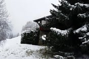 Cosy authentic Chalet in Gsteig bei Gstaad