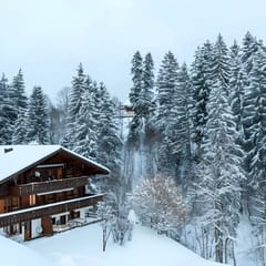 Cozy Apt Overlooking the Gstaad Mountain Area