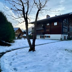 Gstaad Luxurious Flat With Terrace & Stunning Views