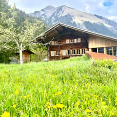 Top-notch Gstaad Chalet with supreme interior