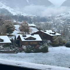 Charming Flat in the Heart of Saanen
