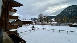 Gstaad - Luxury Flat in Saanen
