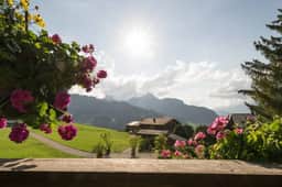 Gstaad Duplex Flat - Amazing Lake Chalet with pond
