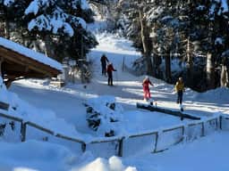 Lovely 4 Bedroom Chalet Great for Ski Holiday - Image 3