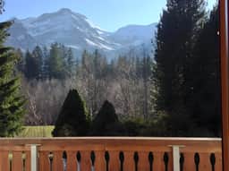 Gorgeous Chalet in Truttli Area of Lauenen