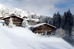 Cozy Apt Overlooking the Gstaad Mountain Area