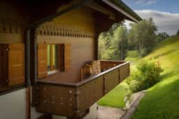 Cozy Apt Overlooking the Gstaad Mountain Area