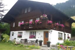 Gstaad Duplex Flat - Amazing Lake Chalet with pond