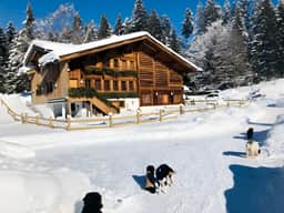 Gstaad - Great Luxurious Farmhouse