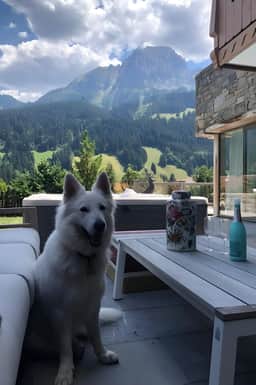 Super Luxury Serviced Apartment next to Gstaad - Image 3