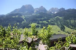 Greatly Renovated 400 Year Old Chalet near Gstaad