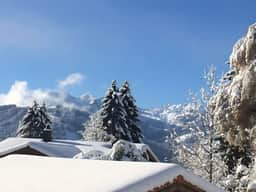 Gstaad - Luxury Flat in Schonried with Great Views