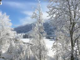 Gstaad - Luxury Flat in Schonried with Great Views