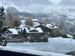 Charming Flat in the Heart of Saanen