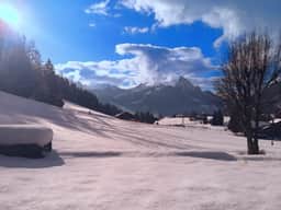 Ski-In Chalet in top location