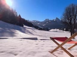 Ski-In Chalet in top location