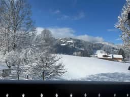 Gstaad Gem: Best Alps View & Serene Pond