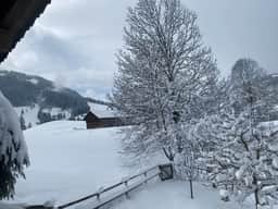 Gstaad Gem: Best Alps View & Serene Pond - Image 4