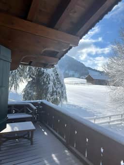 Gstaad Gem: Best Alps View & Serene Pond - Image 3