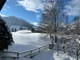 Gstaad Gem: Best Alps View & Serene Pond - Image 2