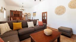IBZ233 Privadia Taro