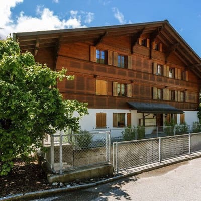 Gstaad - Cozy Spacious Flat Right in the Village