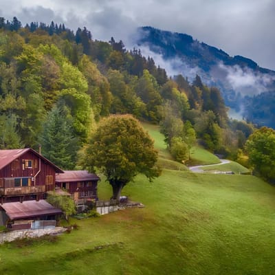 Heidi Chalet Alps - Unique Experience - Authentic Part