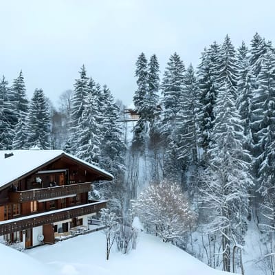 Cozy Apt Overlooking the Gstaad Mountain Area