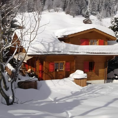 Exclusive, Charming 4 Bedroom Chalet near Gstaad
