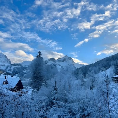 Serene 3BR Apartment with Premier Ski Access