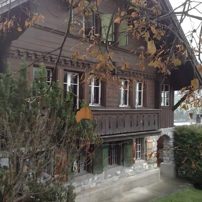 Cozy One Bedroom Flat In Gsteig