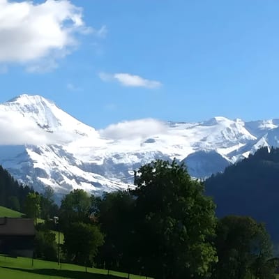 Gstaad - Luxury Flat in Schonried with Great Views