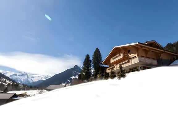 Grand Luxurious New Chalet with Sauna - Image 1
