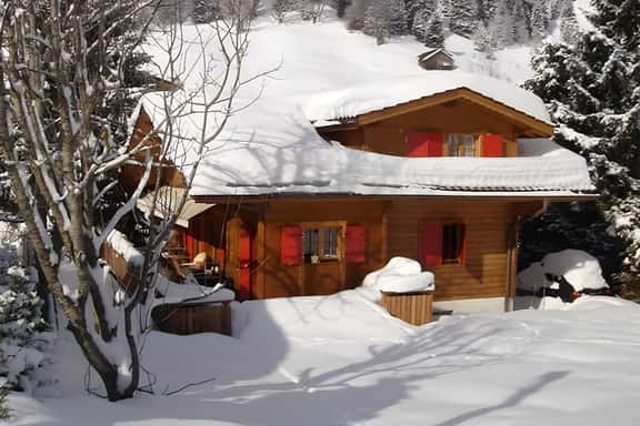 Exclusive, Charming 4 Bedroom Chalet near Gstaad - Image 1