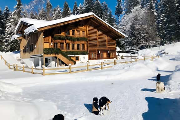 Gstaad - Great Luxurious Farmhouse - Image 1