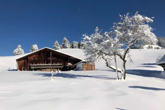 Renovated Chalet on Top of the Picturesque Village - Image 1