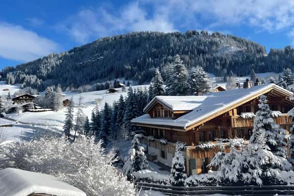 Luxurious Alpine Flat With Hotel Amenities - Image 1