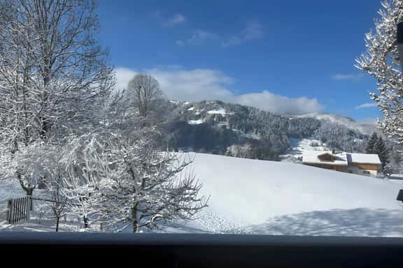 Gstaad Gem: Best Alps View & Serene Pond - Image 1