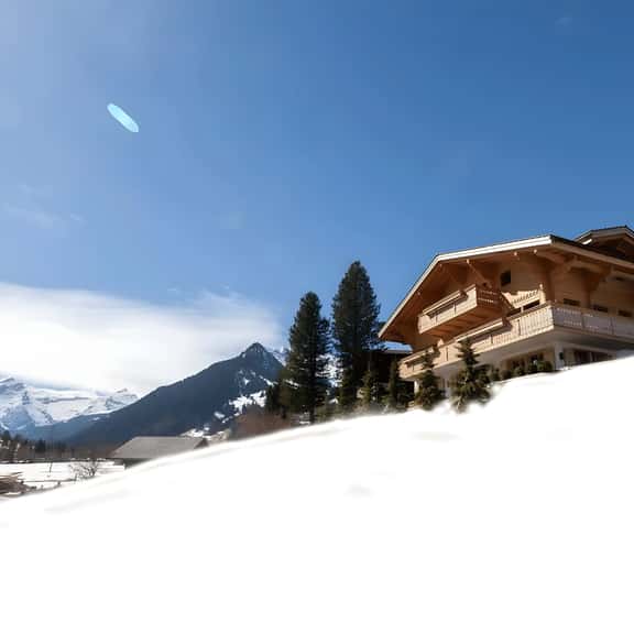 Grand Luxurious New Chalet with Sauna - Image 1