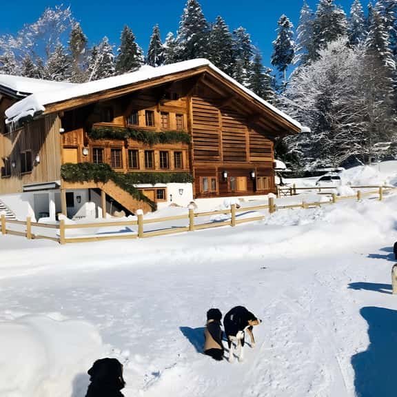 Gstaad - Great Luxurious Farmhouse - Image 1