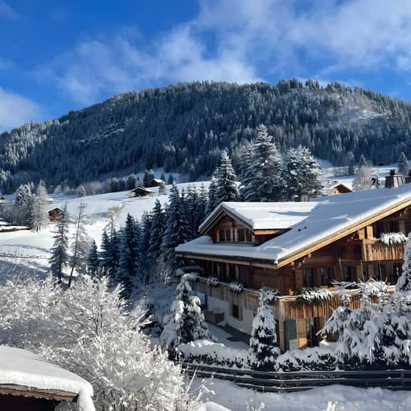 Luxurious Alpine Flat With Hotel Amenities - Image 1