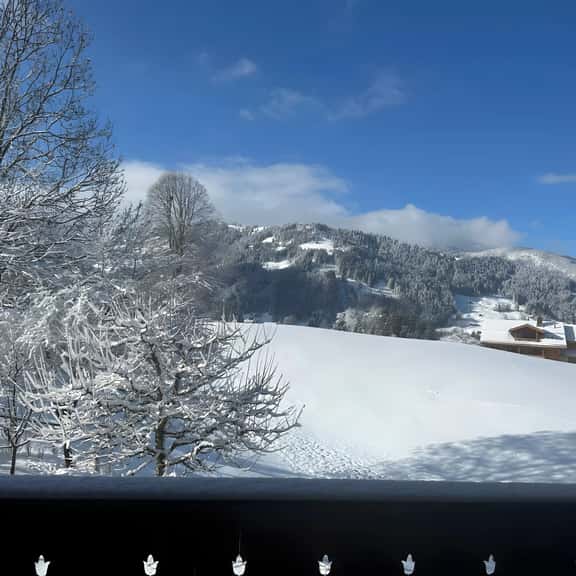 Gstaad Gem: Best Alps View & Serene Pond - Image 1
