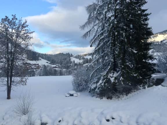 Designed flat Right next to the slopes and village - Image 4