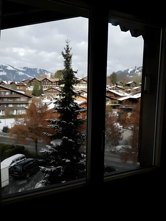 Central Location Cozy 3 BR Flat in Gstaad - Image 3