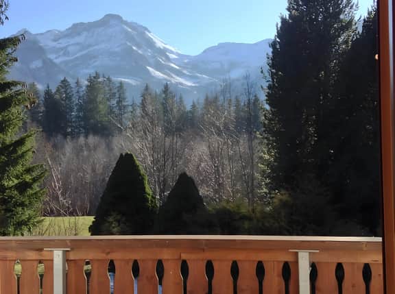 Gorgeous Chalet in Truttli Area of Lauenen