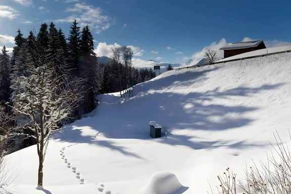 Cozy Apt Overlooking the Gstaad Mountain Area - Image 4