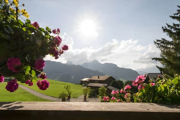 Gstaad Duplex Flat - Amazing Lake Chalet with pond