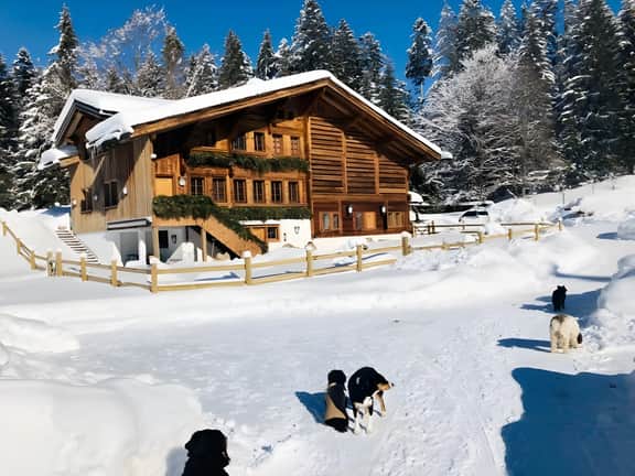 Gstaad - Great Luxurious Farmhouse