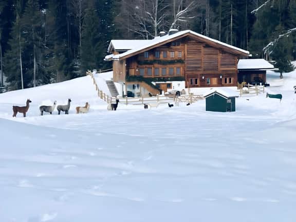 Gstaad - Great Luxurious Farmhouse - Image 2