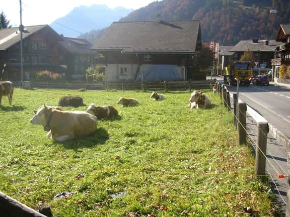 Minutes Walk from Gstaad Center - Great Apartment
